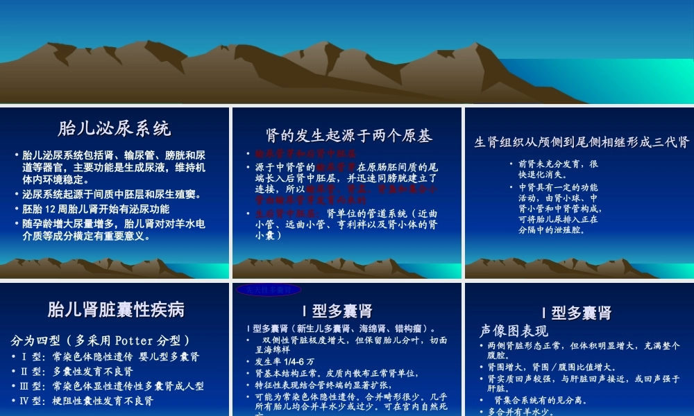 胎儿泌尿系统畸形.ppt