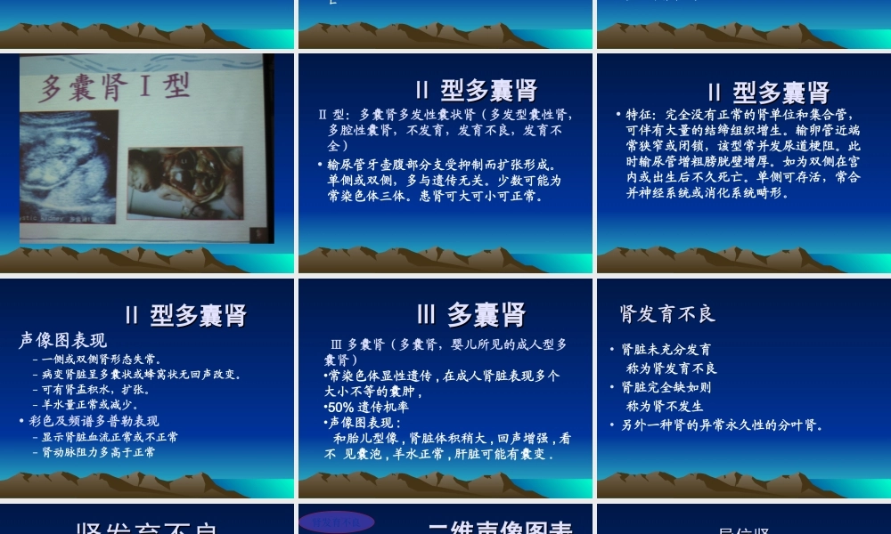 胎儿泌尿系统畸形.ppt