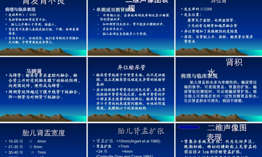 胎儿泌尿系统畸形.ppt