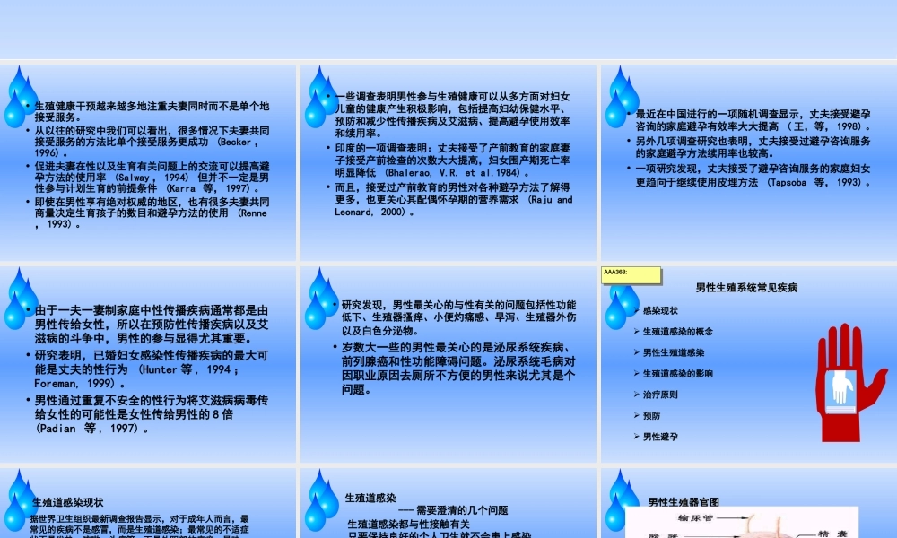 男性生殖健康系列.ppt