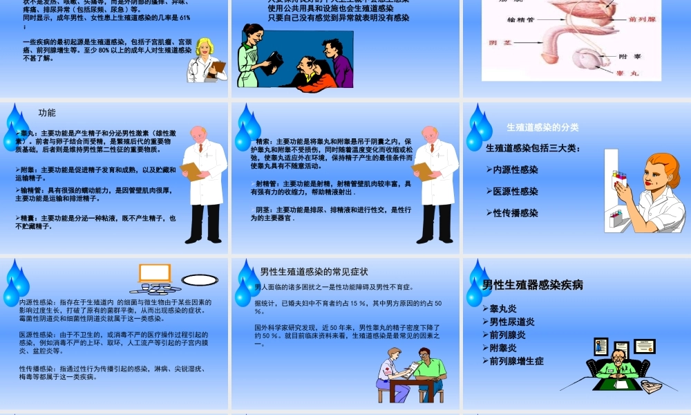 男性生殖健康系列.ppt