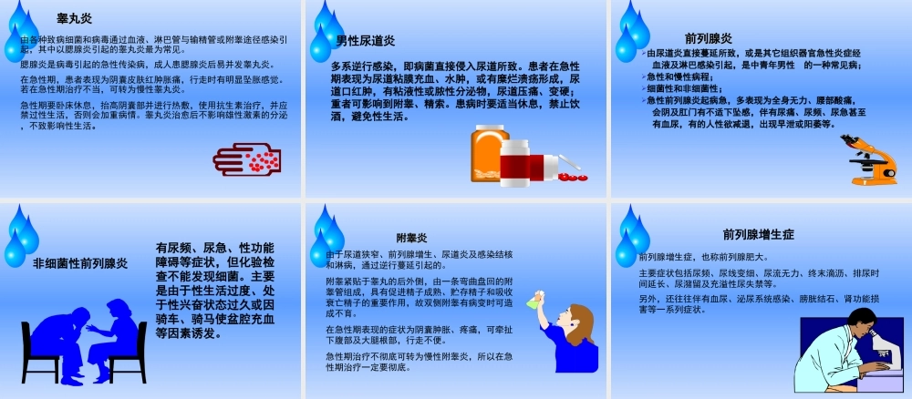 男性生殖健康系列.ppt