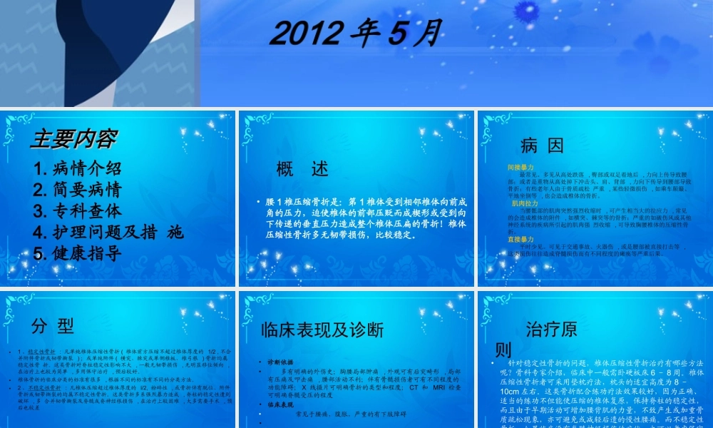 腰1压缩性骨折.ppt