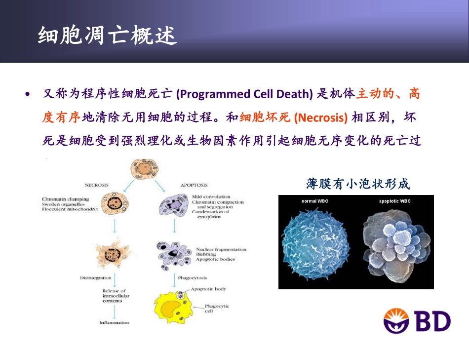 细胞凋亡研究新方法-李凌20130417.pdf_第2页