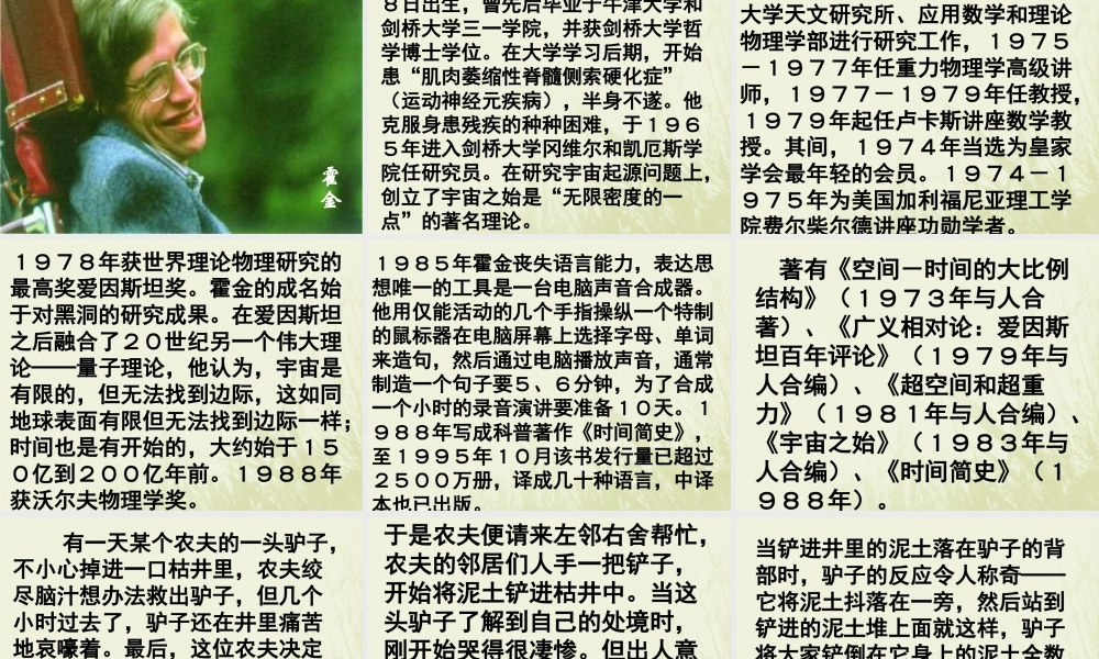 石缝间的生命.ppt