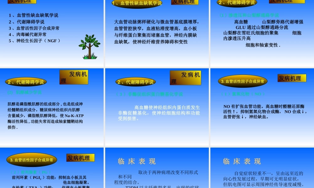 糖尿病周围神经病变的诊治.ppt