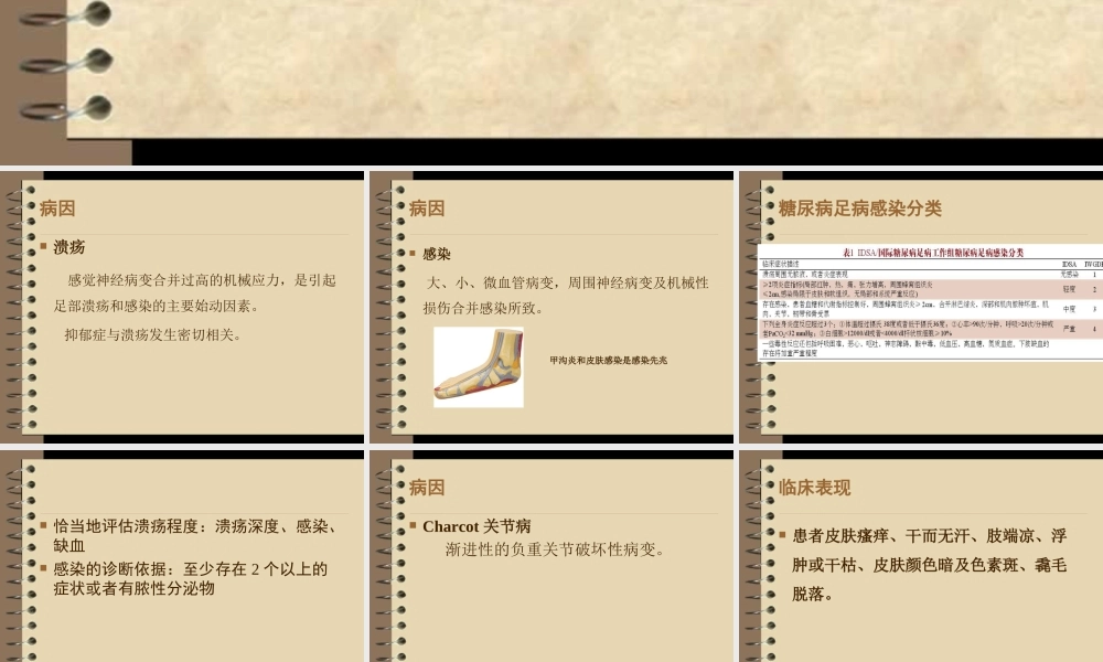 糖尿病足诊疗指南.ppt