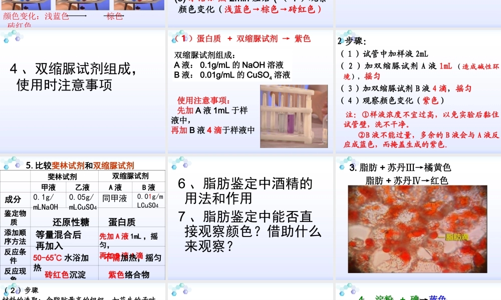 糖类、蛋白质、脂肪的鉴定.ppt