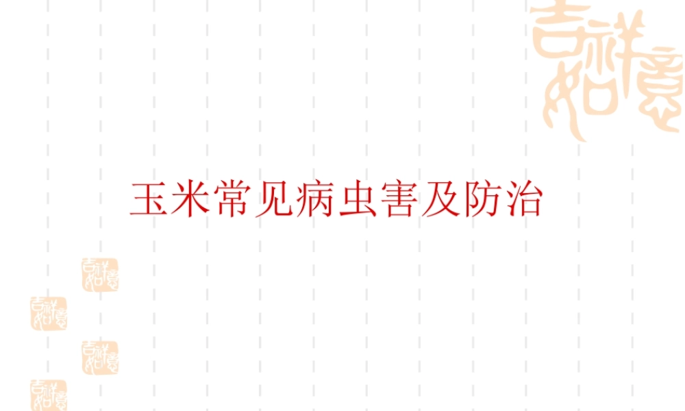 玉米病虫害及防治.ppt