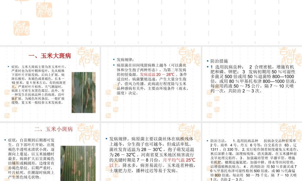 玉米病虫害及防治.ppt