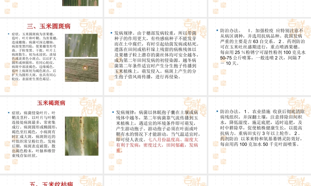 玉米病虫害及防治.ppt