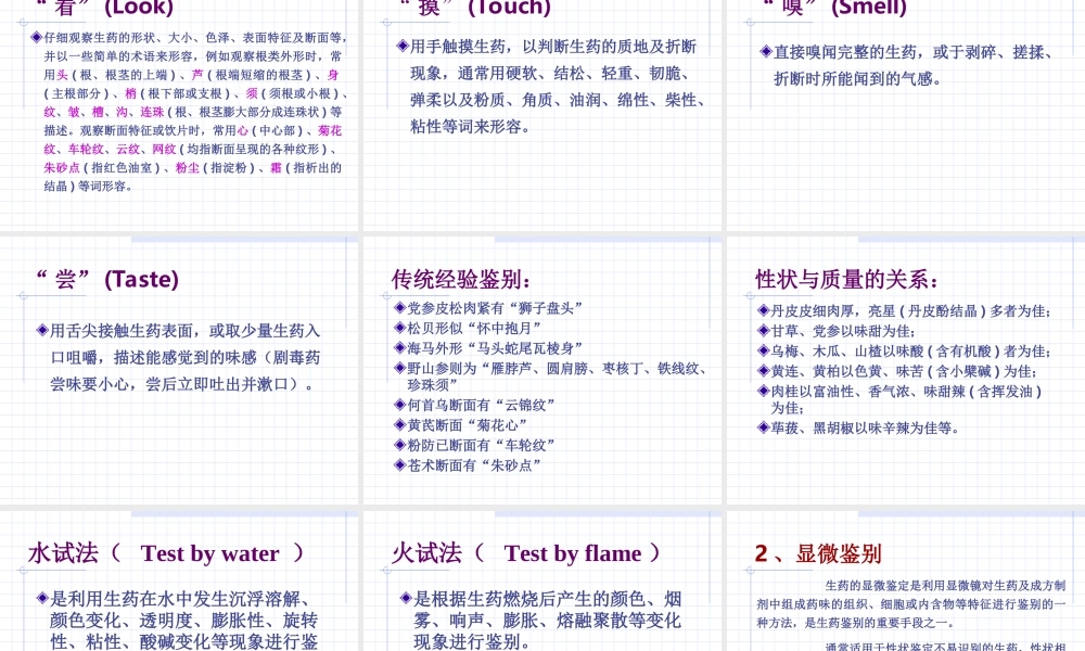 生药学发展简史.ppt