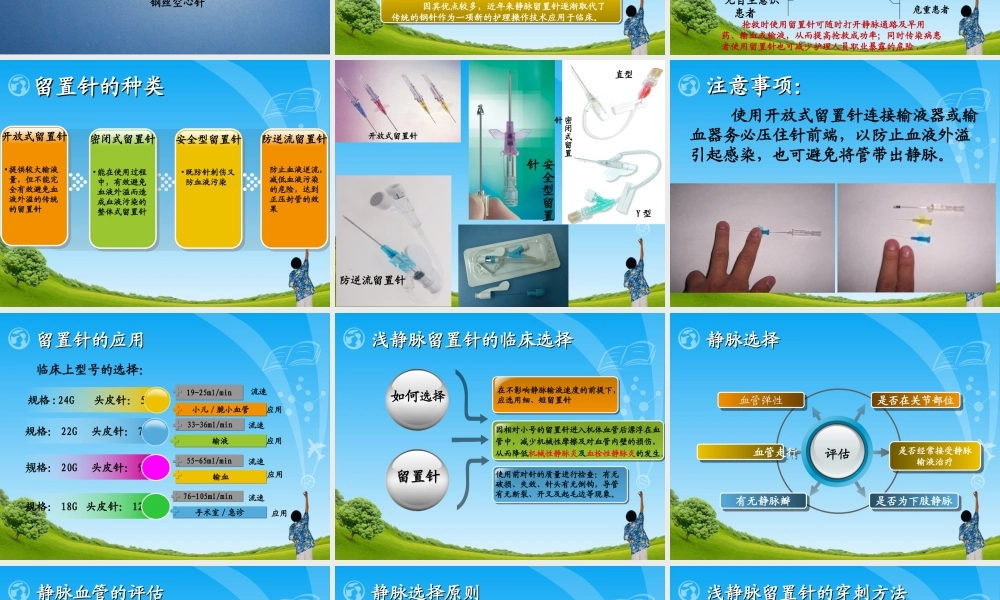 深浅静脉留置针的应用与维护.ppt