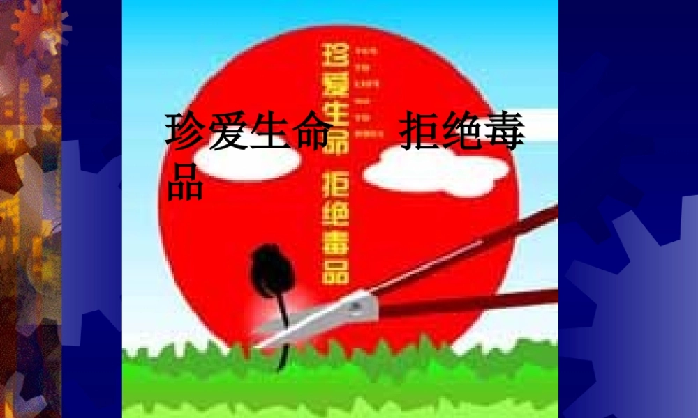 珍爱生命-拒绝毒品(PPT-61).ppt