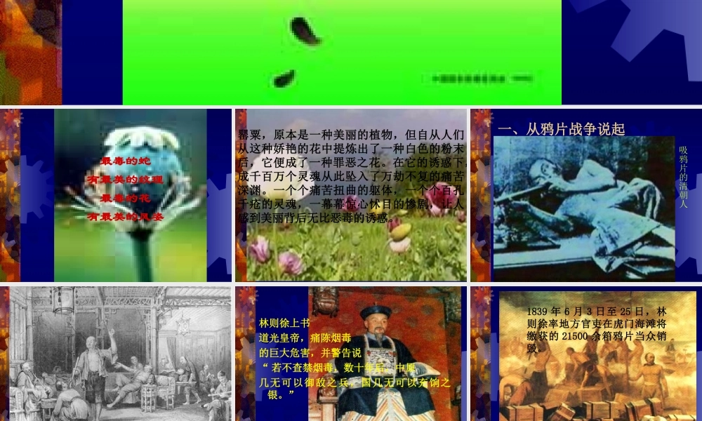 珍爱生命-拒绝毒品(PPT-61).ppt