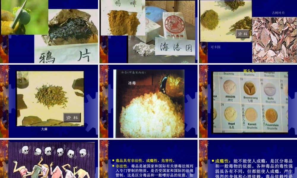 珍爱生命-拒绝毒品(PPT-61).ppt