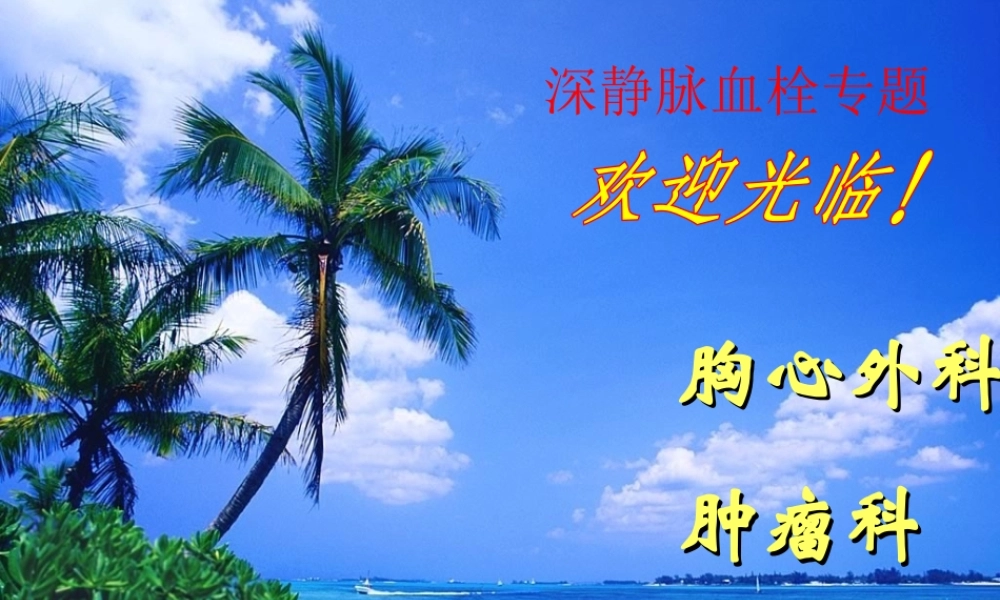 深静脉血栓新.ppt