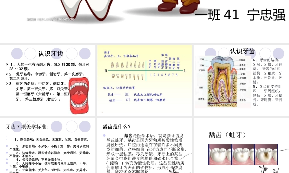 牙齿健康知识.pptx