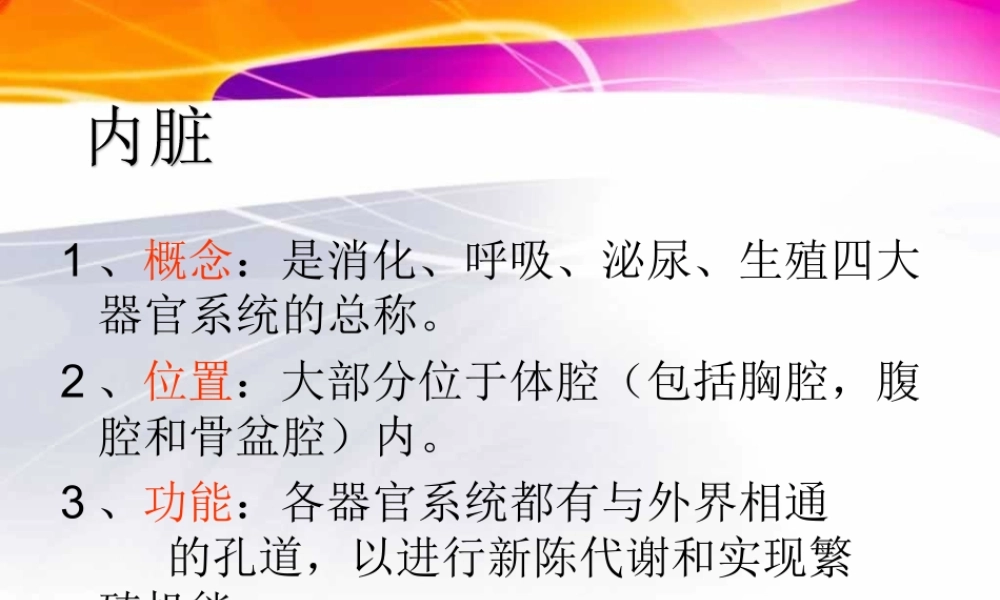 猪的内脏消化系统.ppt