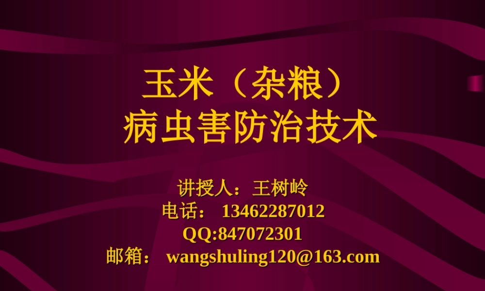 玉米病虫害防治.ppt