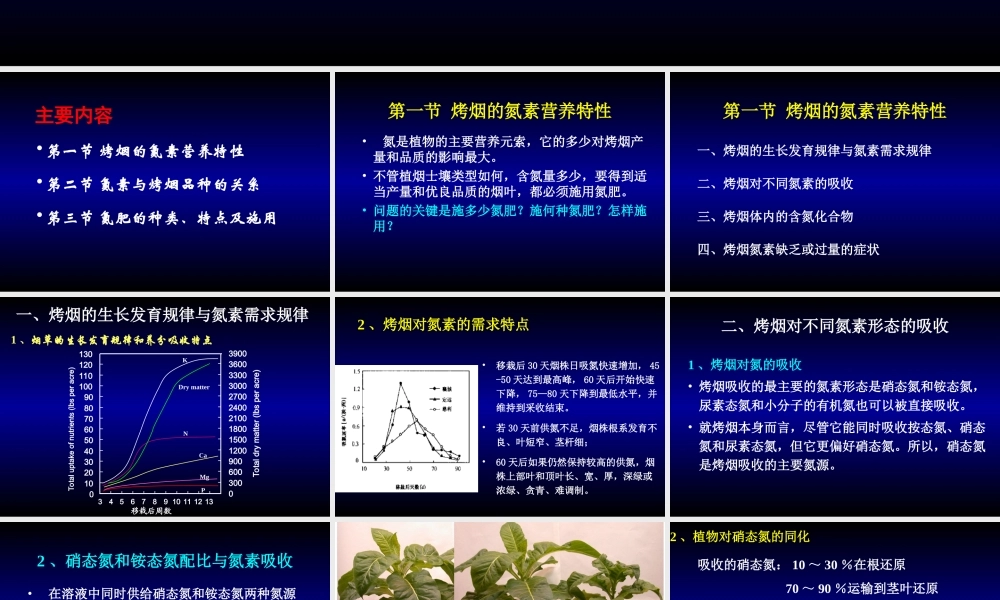 烤烟氮素营养与氮肥.ppt