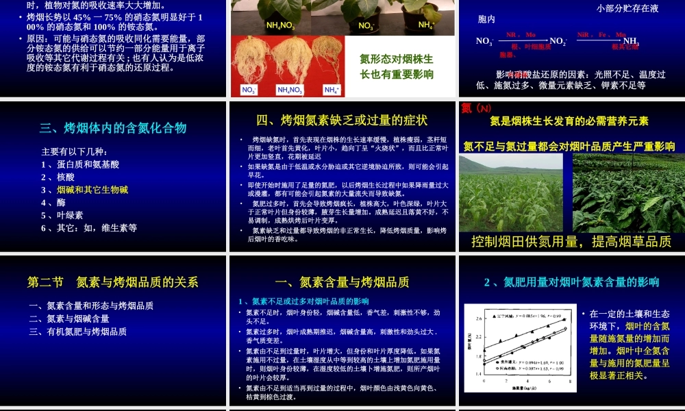 烤烟氮素营养与氮肥.ppt