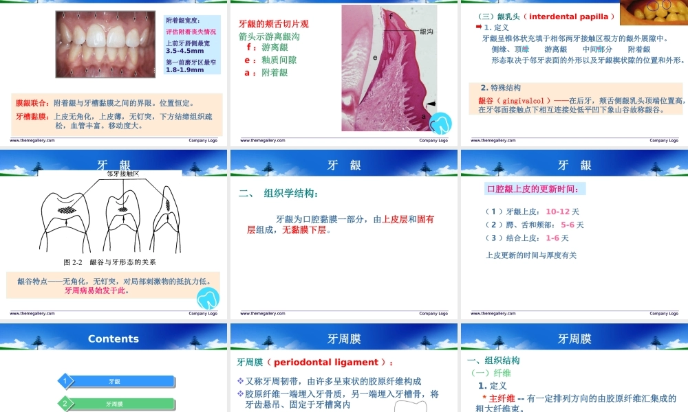 牙周病概述及病因.ppt