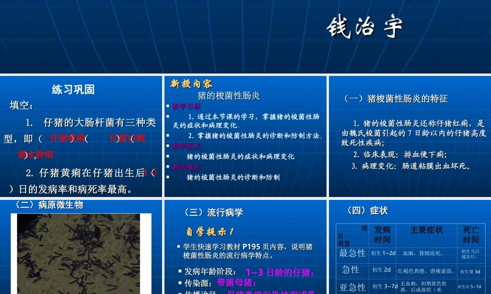 猪梭菌性肠炎.ppt