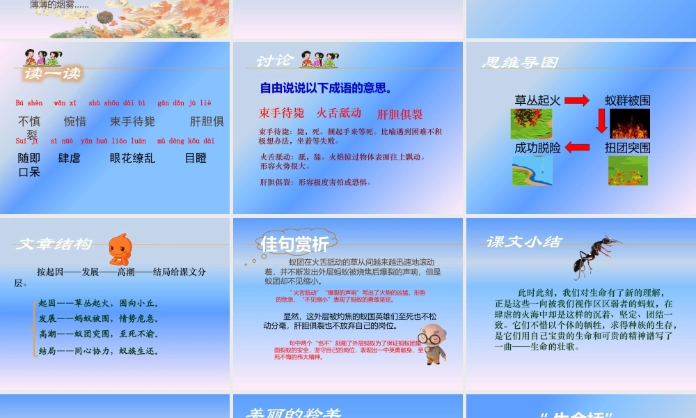 生命的壮歌.pptx