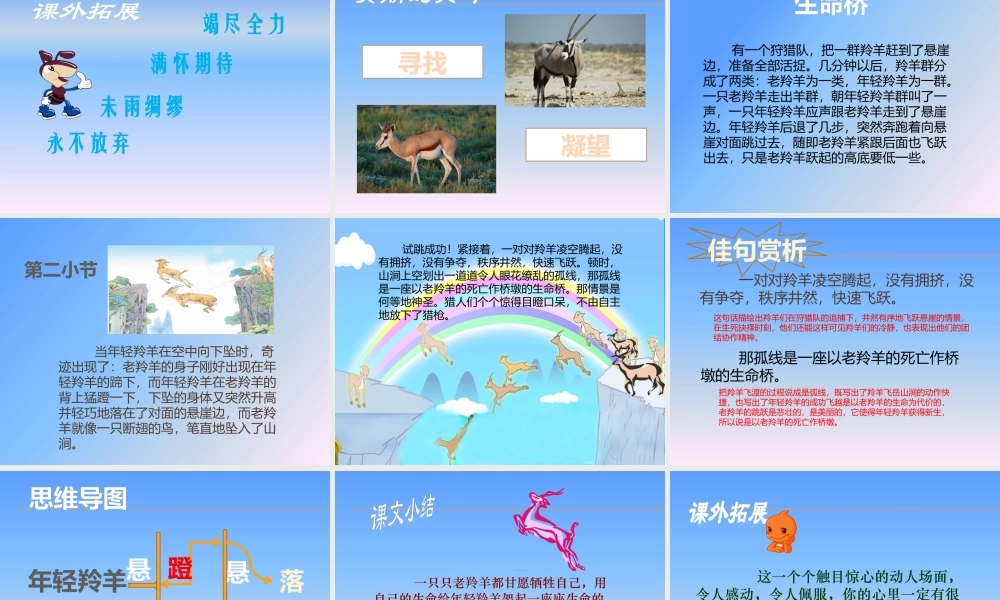 生命的壮歌.pptx