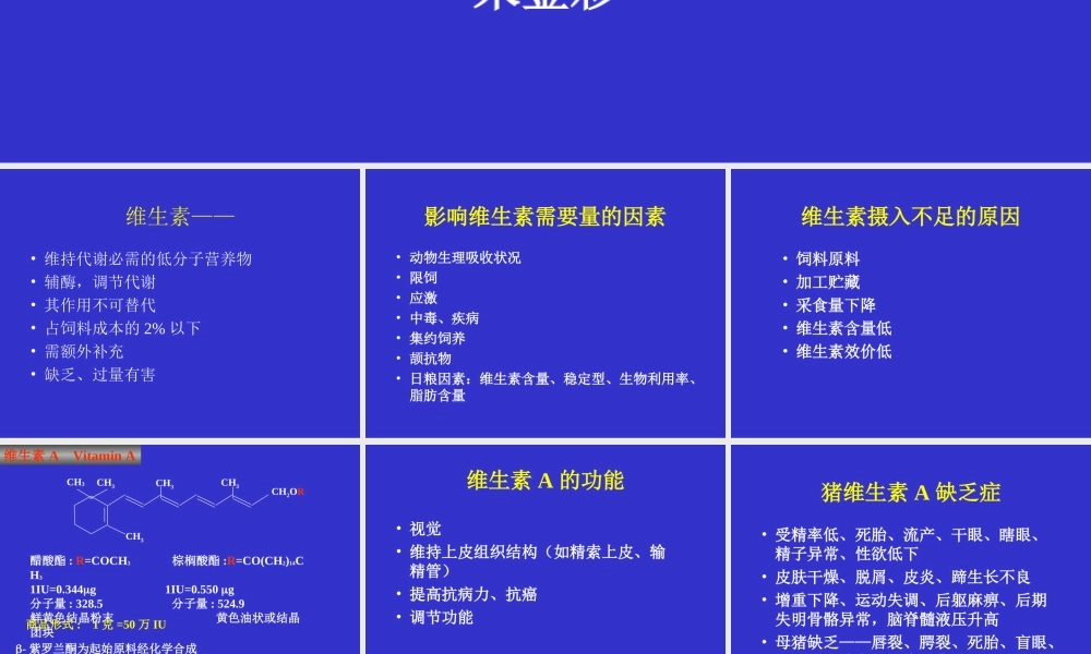 猪的维生素营养.ppt