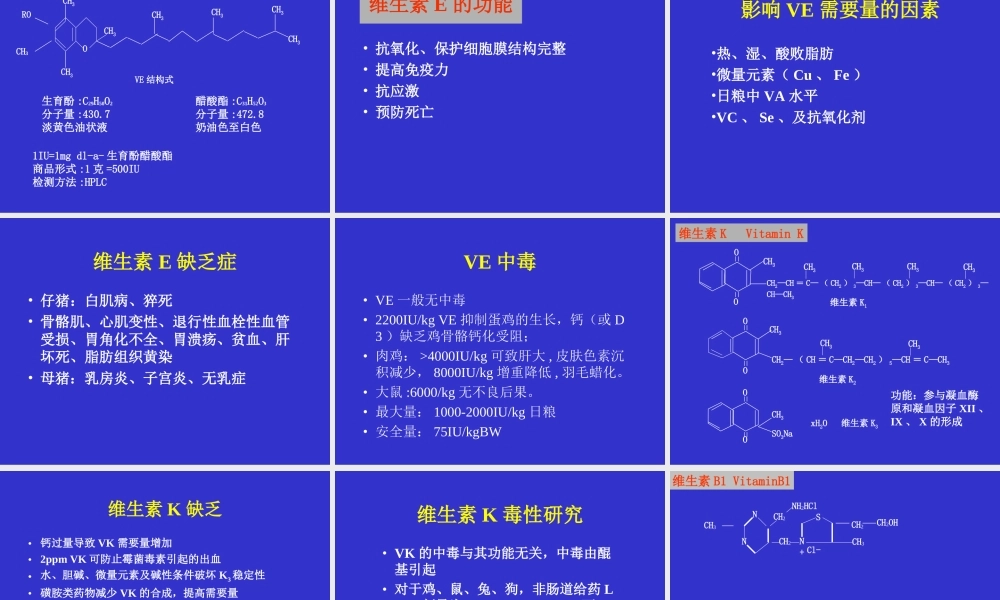 猪的维生素营养.ppt