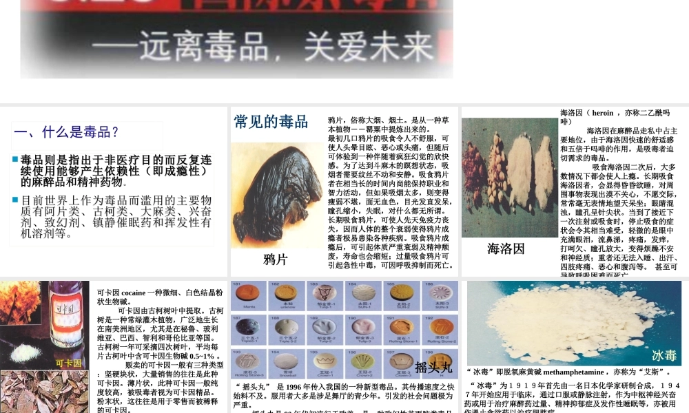 珍爱生命---拒绝毒品..ppt