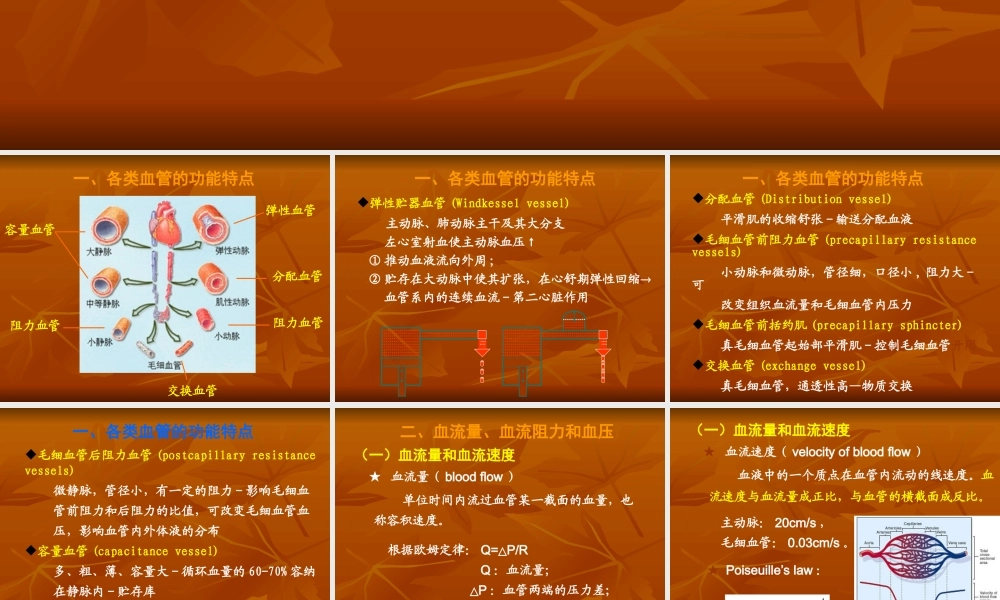 生理血液循环5(完整).ppt