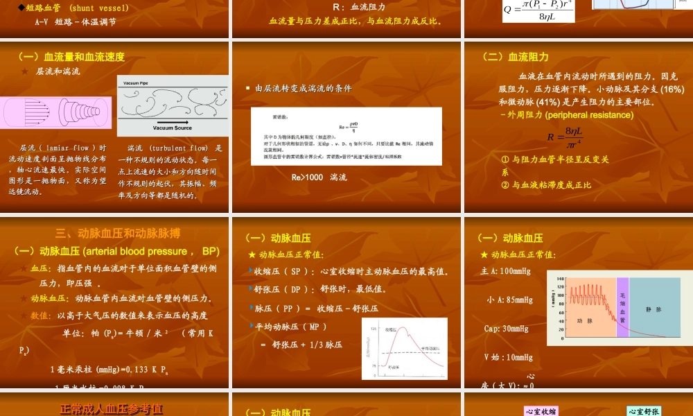 生理血液循环5(完整).ppt