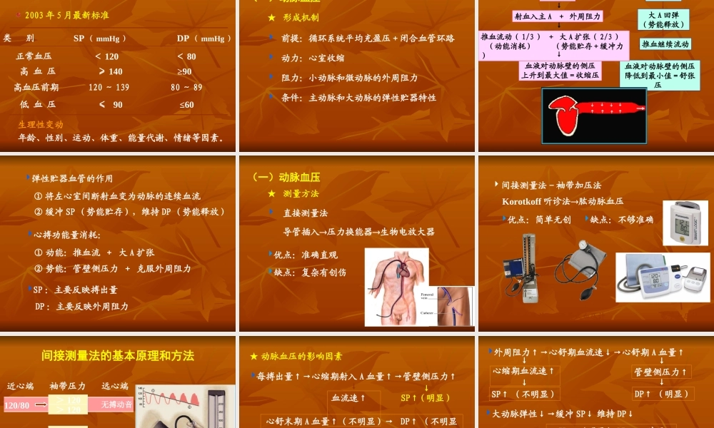 生理血液循环5(完整).ppt