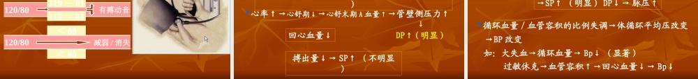生理血液循环5(完整).ppt