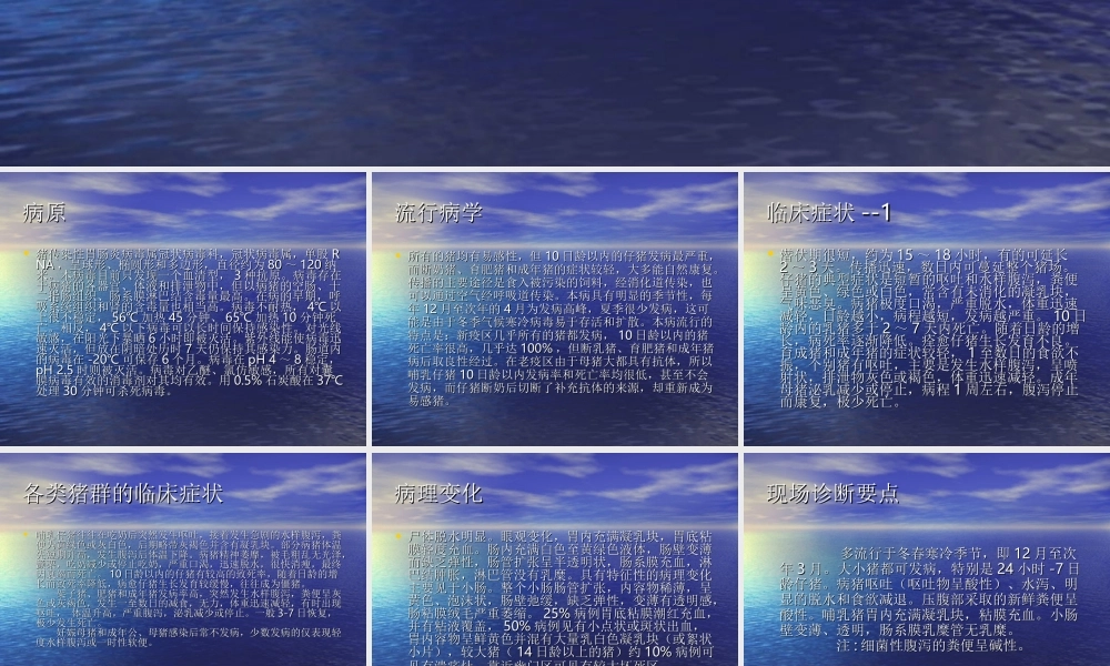 猪传染性胃肠炎(TGE).ppt