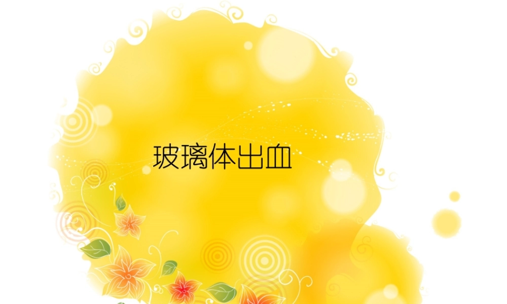 玻璃体出血..ppt