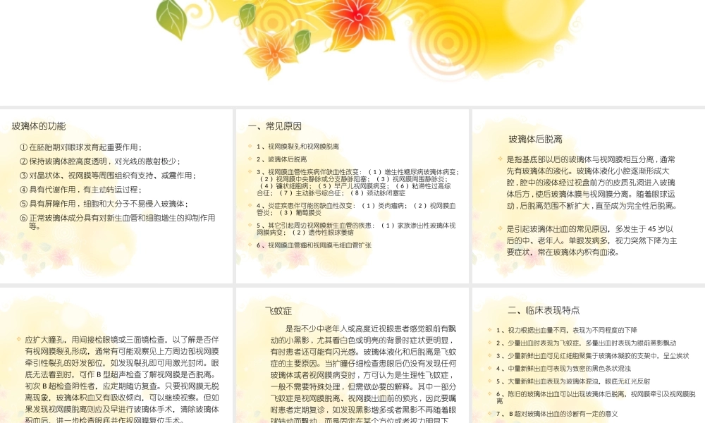 玻璃体出血..ppt