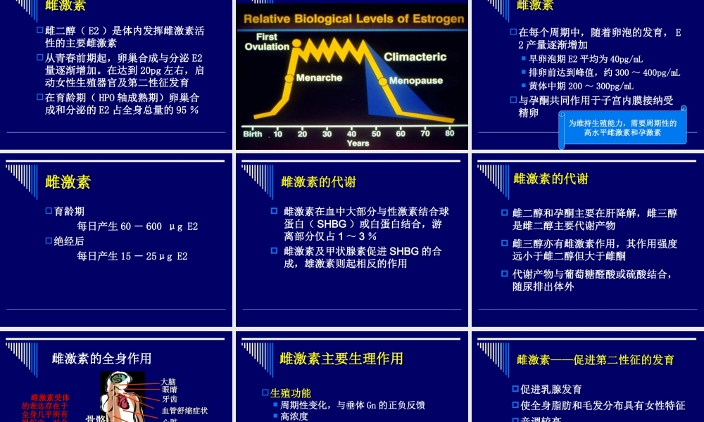生殖内分泌基础.ppt