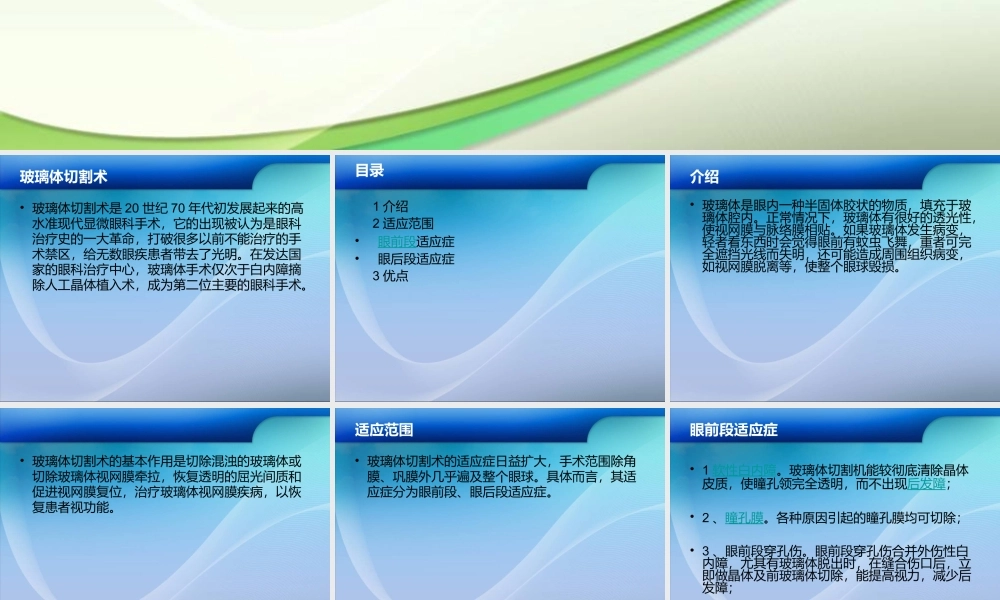 玻璃体切割术PPT.ppt