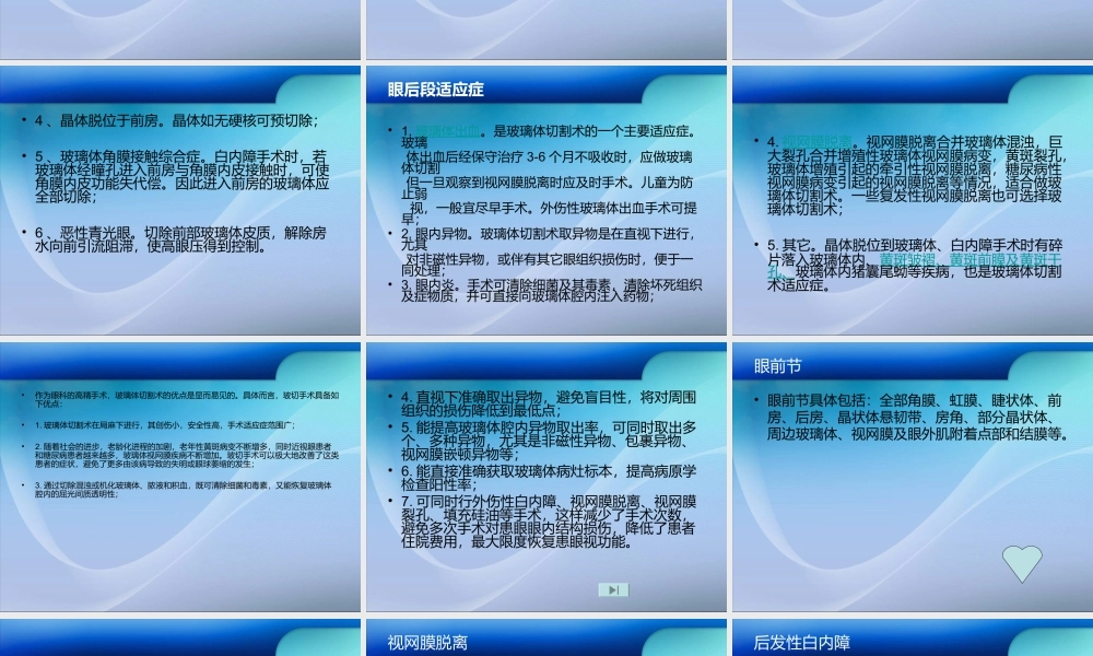 玻璃体切割术PPT.ppt