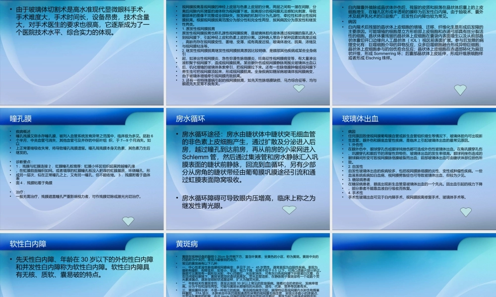 玻璃体切割术PPT.ppt