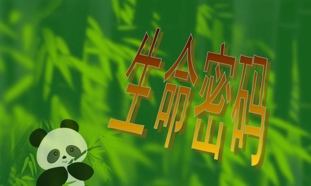 生命密码与健康.ppt