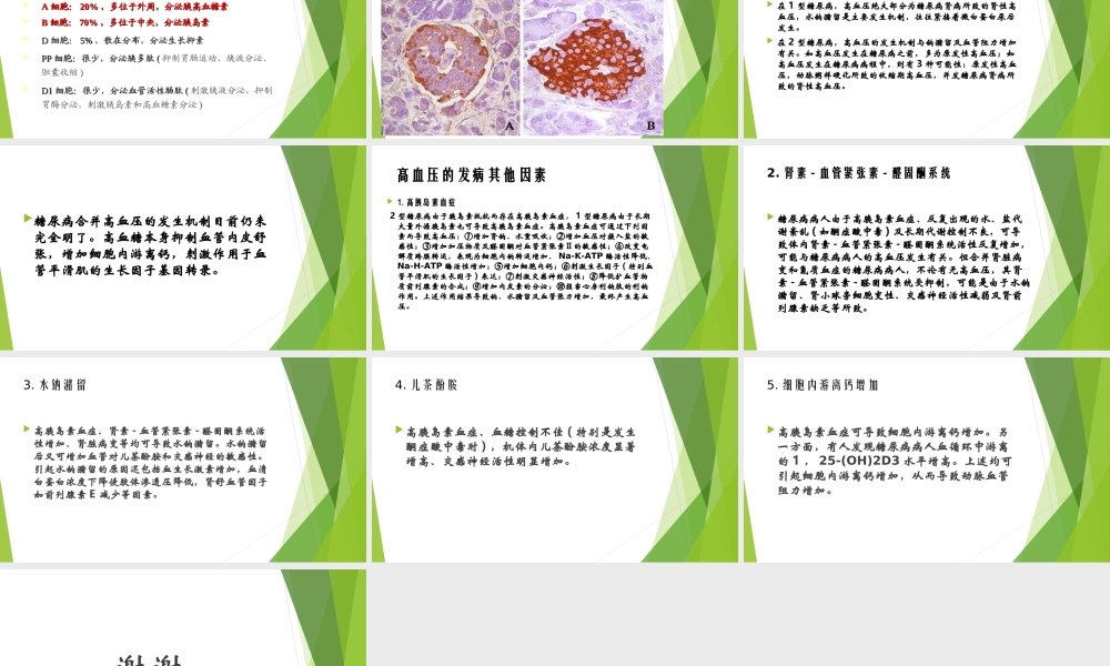 糖尿病及其与高血压关系.ppt