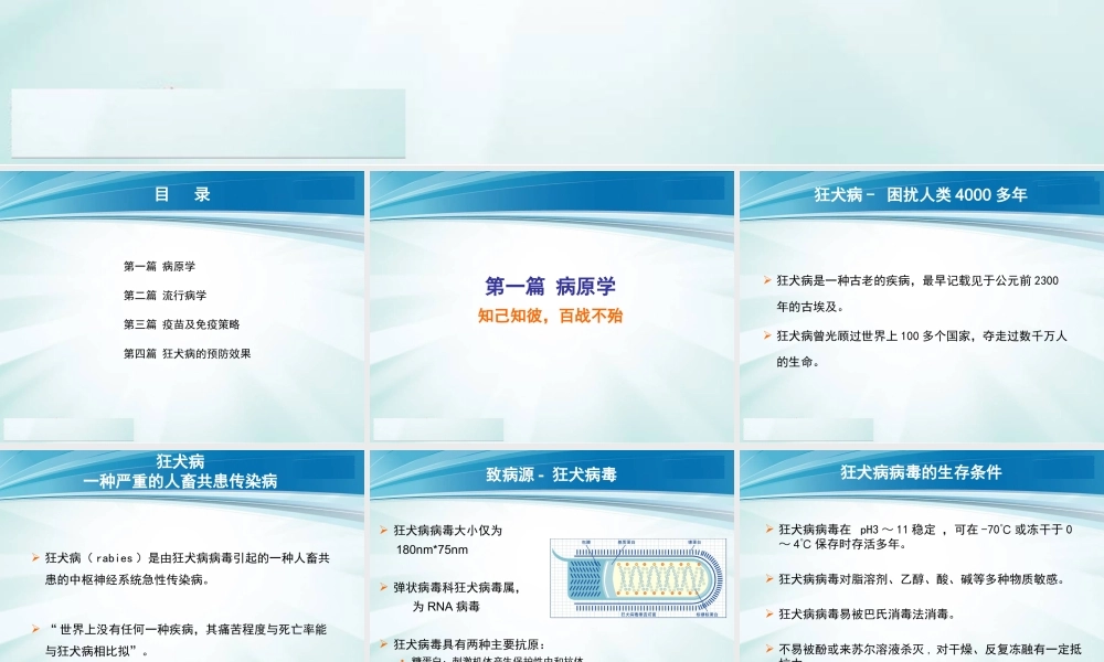 狂犬病知识幻灯片(含解说词).ppt