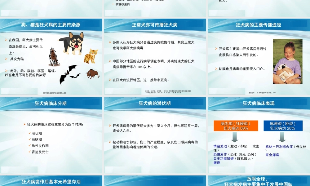 狂犬病知识幻灯片(含解说词).ppt
