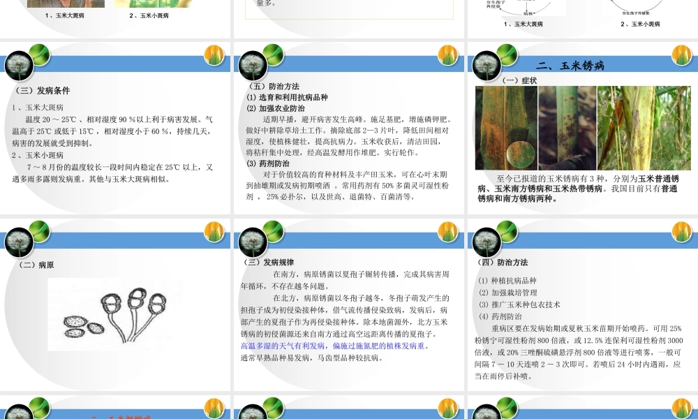 玉米主要病虫害及其防治.ppt
