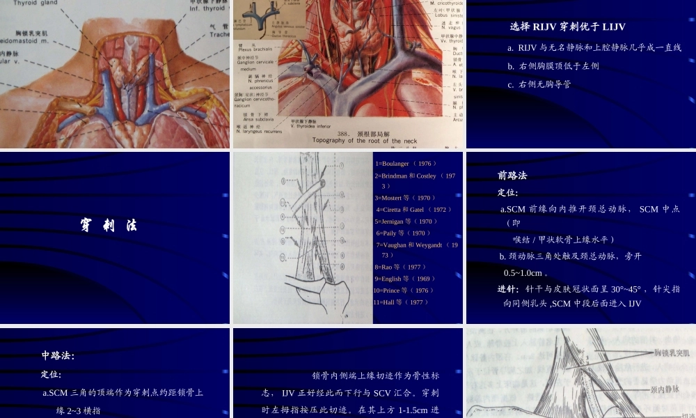 深静脉置管.ppt.ppt
